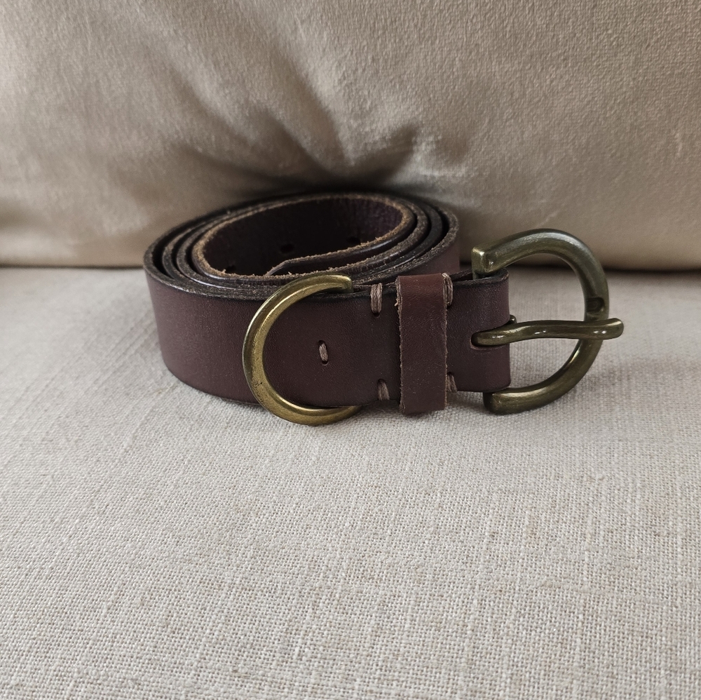 American Eagle Outfitters Classic Brown Belt